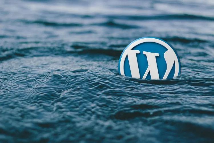 Audyt Strony WordPress
