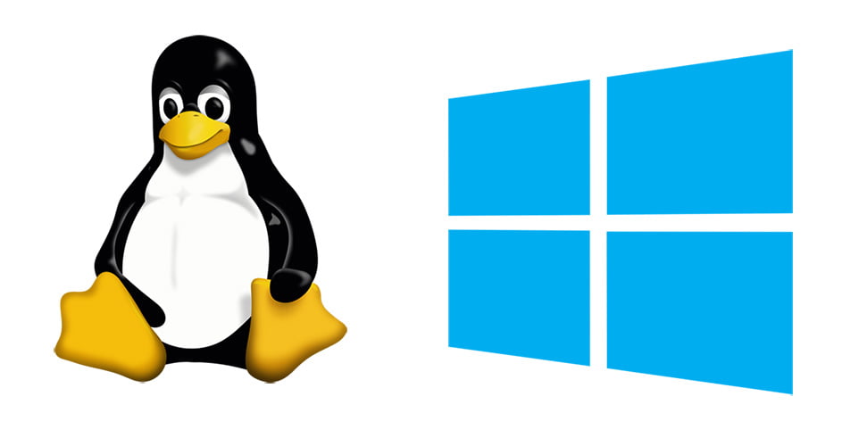 Audyt systemów Windows i Linux