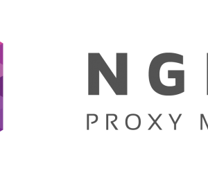 Nginx Proxy Manager gwarantuje bezpieczny dostęp do stron internetowych dla Ciebie i Twoich klientów